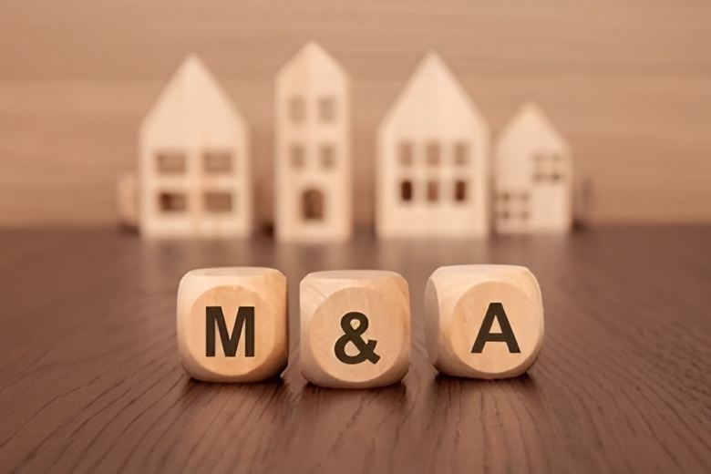 Mergers & Acquisitions (M&A)​ zenith bridge capital